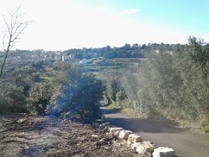 AMENAGEMENT DES PARKINGS A N.D. DE SANTA CRUZ A NIMES (10)
